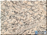 China Tiger Skin Rust Granite