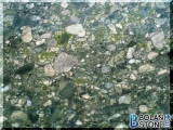 Verde Marinace Granite